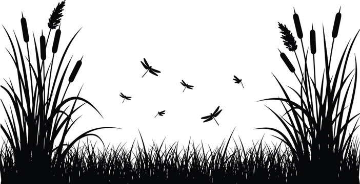 Wetland reeds and cattail silhouette with dragonflies flying, natural marsh landscape illustration for wildlife habitat design, pond ecosystem, and aquatic nature background