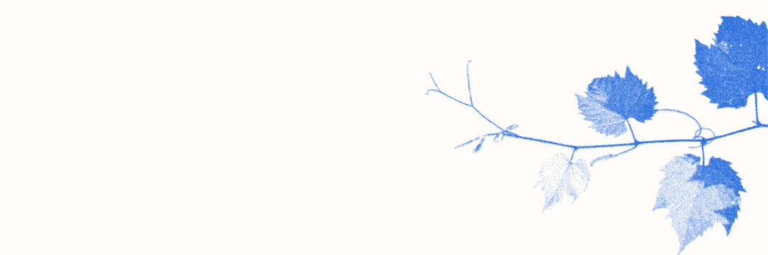 Blue cyanotype grapevine background. Stipple dot overlay texture with vine twig silhouette. Delicate indigo blue nature banner.