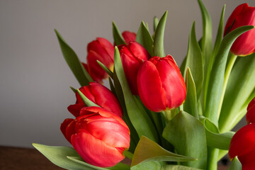 Obraz premium beautiful flowers tulips of different colors
