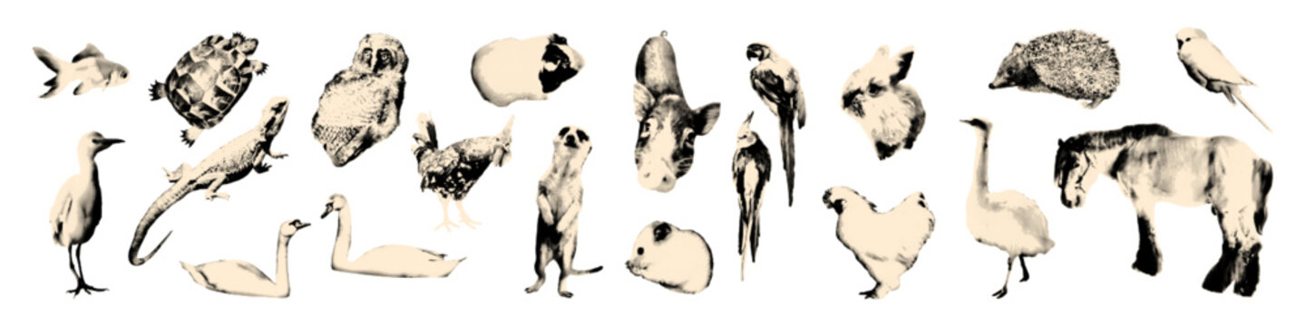 Animals halftone art collage cut outs set. Various paper clipping shapes, pets, domestic, farm and wild animal vintage dotted stickers collection. Modern retro grunge mixed media vector illustration