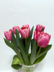 Obraz premium Pink tulips bouquet