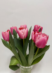 Obraz premium Pink tulips bouquet
