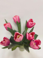 Obraz premium Pink tulips bouquet