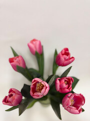Fototapeta premium Pink tulips bouquet