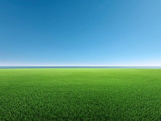 Fototapeta premium Lush Green Field Under Clear Blue Sky with Calm Ocean Horizon in Distance for Peaceful Nature and Landscape Themes