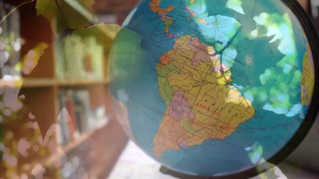 Animation of leaves over globe in library