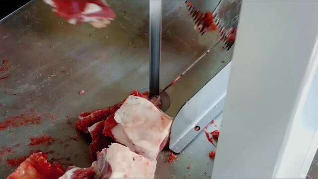Bone cutting machine in the cattle farming industry