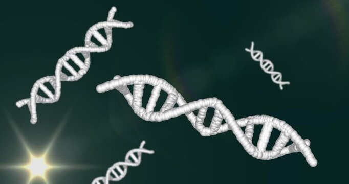 3D white DNA helices drifting rotating upon flare pulsing into starburst illustrating DNA dynamics