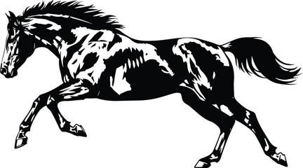 Fototapeta premium A black and white vector illustration of a running stallion silhouette isolated on a white background representing a wild equine animal in motion
