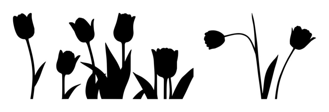 Tulip flower set with elegant monochrome silhouettes featuring organic shapes, delicate profiles, and botanical forms with natural beauty and floral essence
