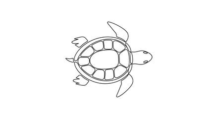 Detailed drawing of a turtle. © Ayu