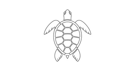 Turtle Shell Animal Illustration Closeup. © Ayu