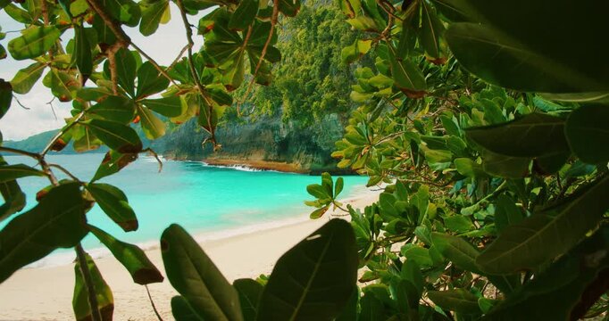 Tropical leaves framing the turquoise sea and white sand beach on Nusa Penida
