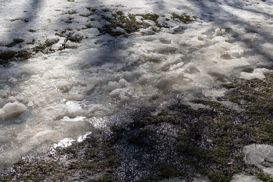 Melting snow on wet ground. Puddle and slush from the melting snow
