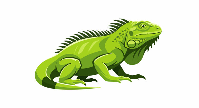 Bright green iguana with spiky dorsal crest and dewlap
