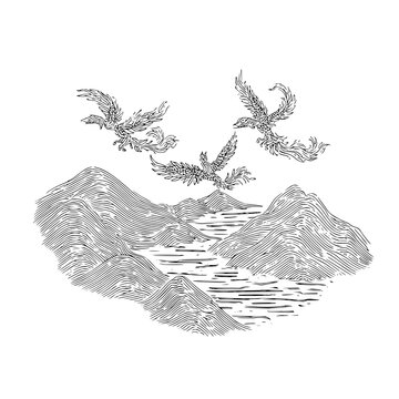 Three mythical phoenix birds soaring over serene mountain peaks and flowing river waters in a detailed traditional black and white ink line art style illustration drawing