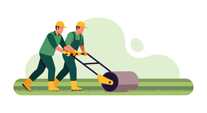 Two construction workers operating a lawn roller machine for landscaping.