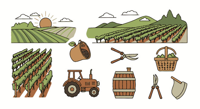Vineyard farming elements with tractor and harvest basket.