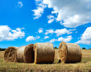 Row of round hay bales in the Italian Apennines © Patrizia