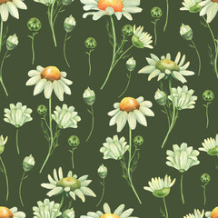 Fototapeta premium Chamomile field seamless pattern deep green