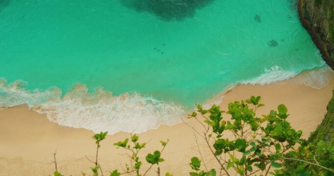 Tropical vegetation overlooks turquoise sea at Kelingking beach Nusa Penida Island Bali