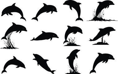 Obraz premium Silhouette of dolphins in various swimming positions and actions