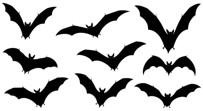 Bats flying black silhouette set with various wing positions and poses featuring bat silhouettes, dark creatures, winged mammals with bat