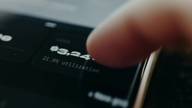 Used amount of money and Credit Utilization rate, financial summary