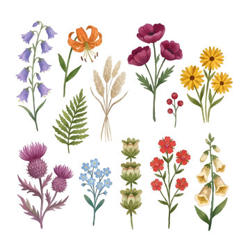 Vector Watercolor Wildflower Clipart Set: Peonies, Daisies, and Foliage. Rustic Botanical Illustrations for Wedding Invitations, Stationery, and Surface Patterns. Isolated Folk Art Design