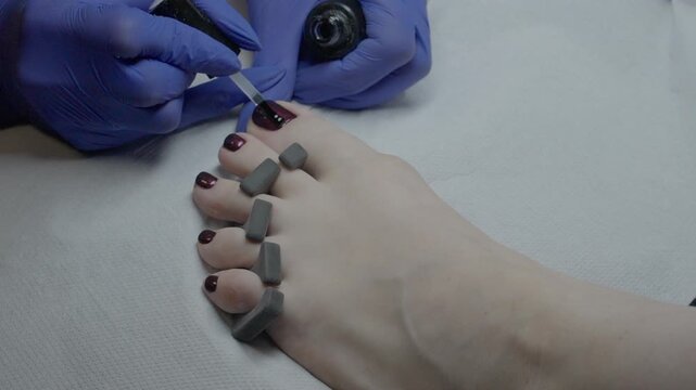 Closeup foot pedicure with burgundy polish, nail technician wearing purple gloves applies lacquer to toes separated by foam