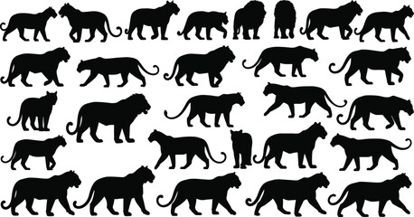 Big cat silhouettes collection with lions, tigers and panthers in walking poses, wild predator animal shapes set, vector illustration isolated on white background © MdMojnu