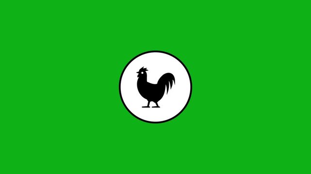 Minimalist chicken icon animation on green screen, clean design, dynamic barnyard animal footage.