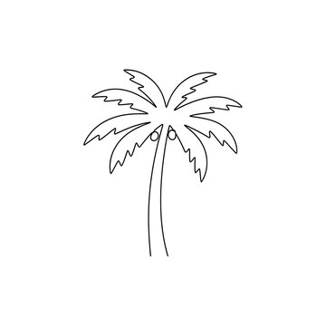 Single line of a palm tree with coconuts on white background tropical nature de