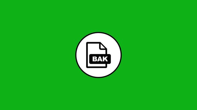 Bak file format icon animation on green screen chrome key background motion graphic.