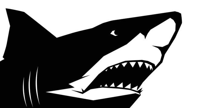 A large shark with its mouth open and sharp teeth is swimming in the ocean water.