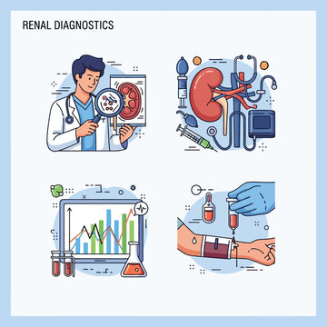 Renal Diagnostics: Doctor examining kidney, medical equipment, lab tests, blood draw, healthcare concept