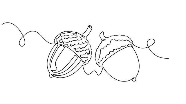 Detailed Acorn with Textured Cap and Smooth Shell animation continuous one line drawing, Simple Line Art Drawing of an Acorn, Oak Nut Seed Illustration,  Full length single line animation, Animated.