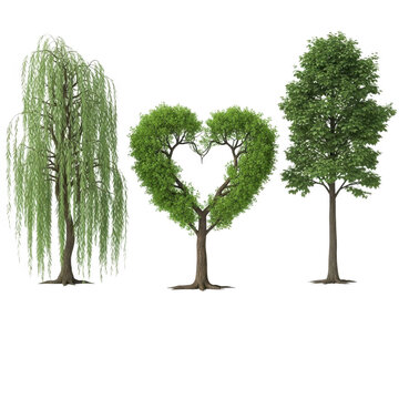 A simple illustration of three trees forming a heart shape together