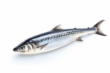 Naklejka premium Fresh raw mackerel fish isolated on a white background, representing healthy seafood