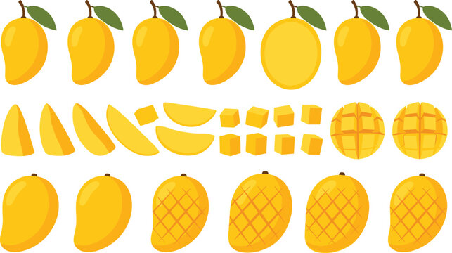 Mango fruit set with whole sliced wedges cubes and cross cut variations tropical vector illustration collection isolated on white background