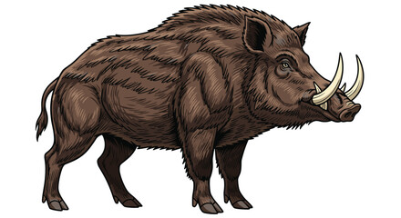 Fototapeta premium Powerful wild boar, standing in profile, featuring a bristly brown coat, impressive tusks, and a determined, aggressive stance.