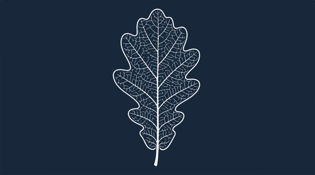Delicate white leaf skeleton against a dark blue background.