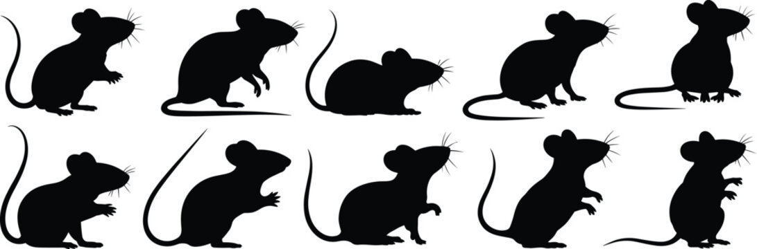 Black mouse silhouettes collection featuring various poses like standing sitting and sniffing isolated on white background for rodents pest control and wildlife nature design.