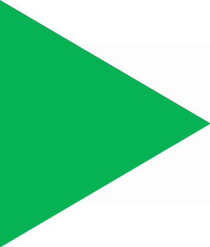 Green triangle shape pointing right on white background.
