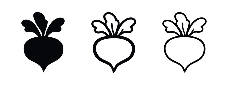 Beetroot or Radish Vector Icon Set. Flat, Line, and Outline Styles for Root Vegetable Illustrations