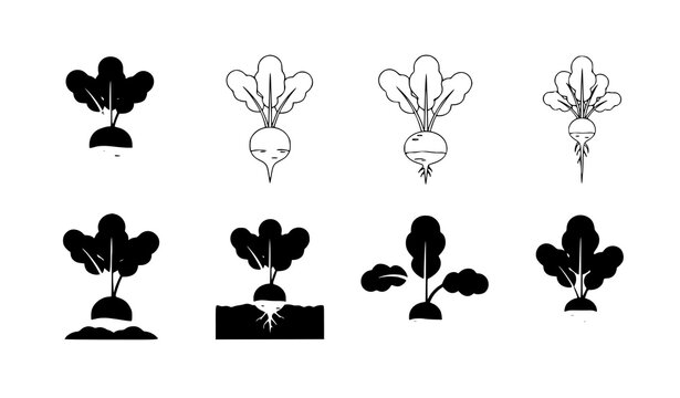 Radish icon flat vector vegetable symbol set