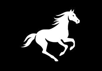 Obraz premium Silhouette of rearing horse prancing on hind legs against black background