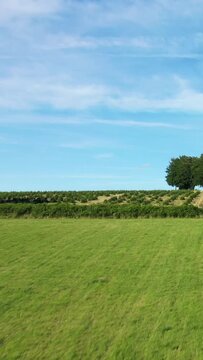 Lush green fields and rows of shrubs stretch across gentle hills under a bright blue sky in the Morvan countryside, France.