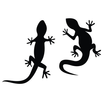 Sand lizard vector logo design silhouette vector flat illustration design on a white background