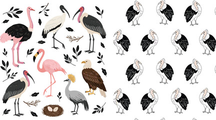 Obraz premium Bird Vector Illustration and Pattern Set Featuring Flamingo, Ibis, Stork, Crane, Eagle, and Vulture with Nests and Leaves Cartoon and Realistic Wildlife Collection